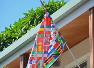 Сколько уровней в Duolingo